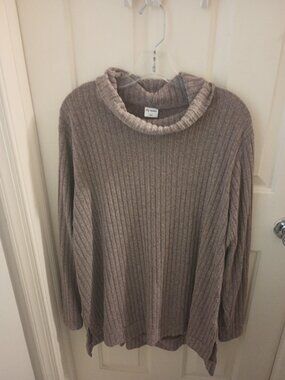 Women's 3x Ribbed Turtleneck Sweater - Wiholl